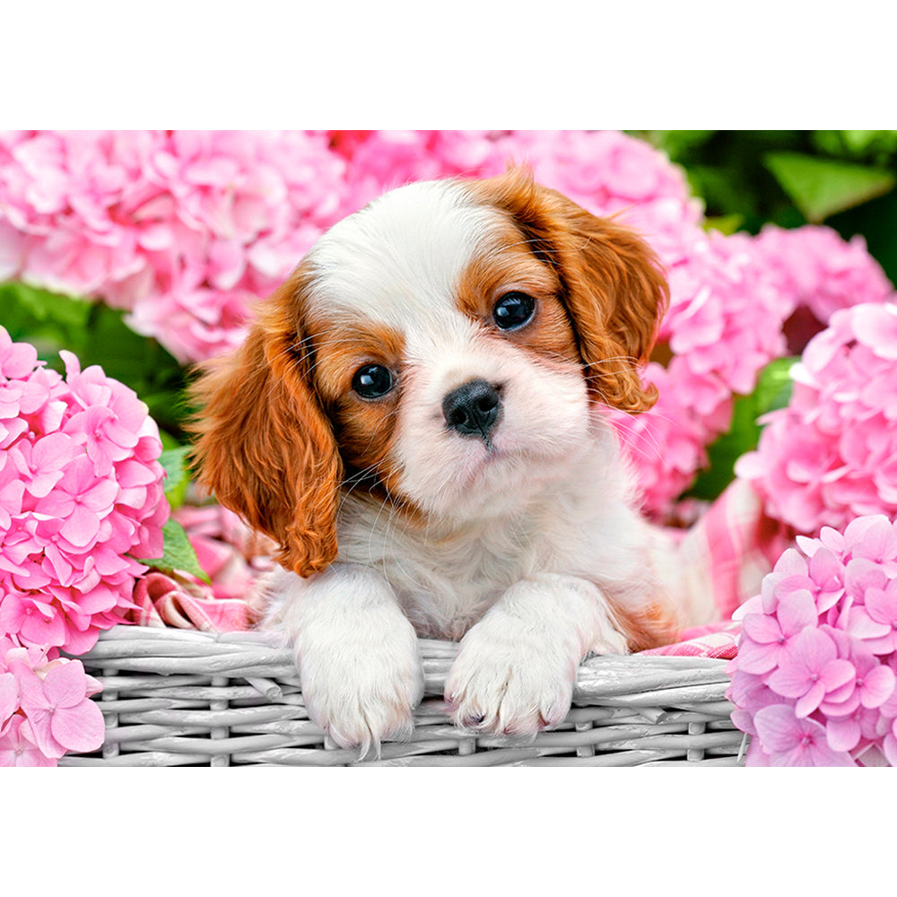 Collection D Art Spaniel 27x38 Mozaik Kit - D4654